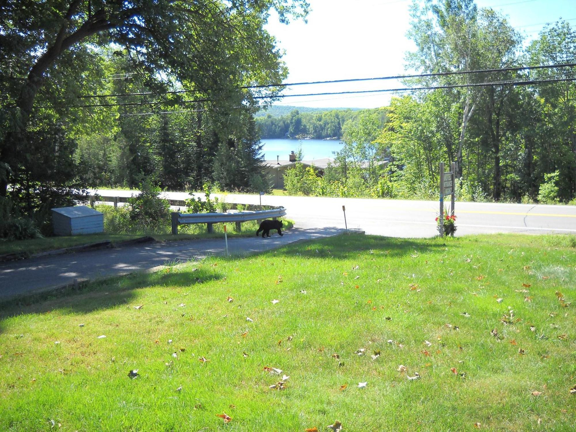 Lakeview Motel Haliburton Luaran gambar